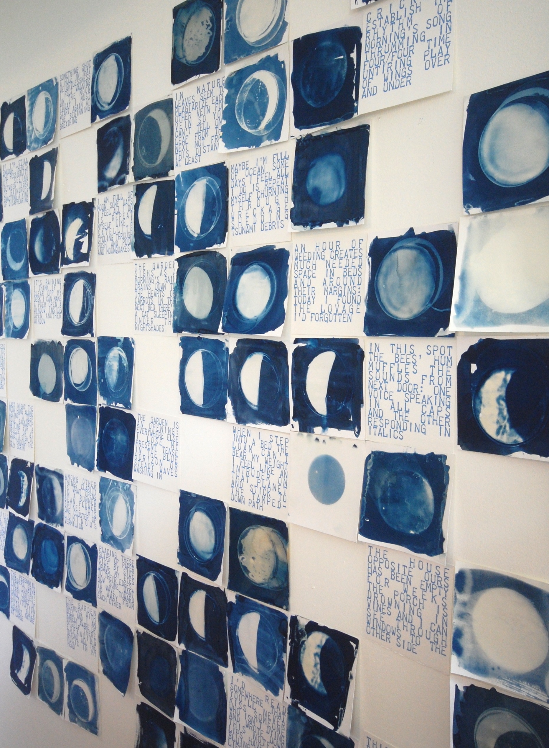 Dozens of cyanotype prints and tanka poems by Heidi Reszies arranged on a white wall