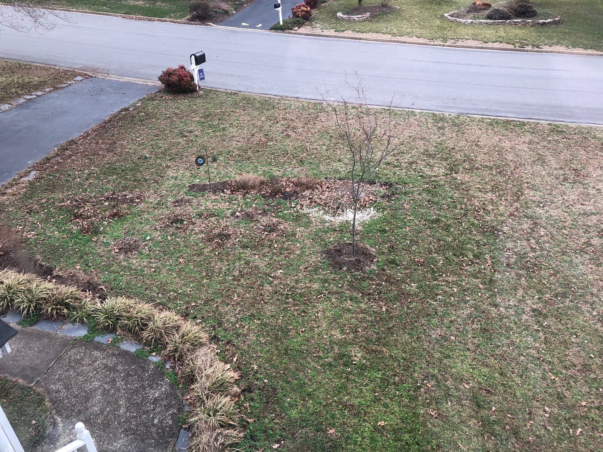 Front yard at the beginning of spring garden planning