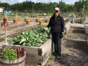 Senior Horticulturist Laurel Matthew offers tips to start your vegetable garden