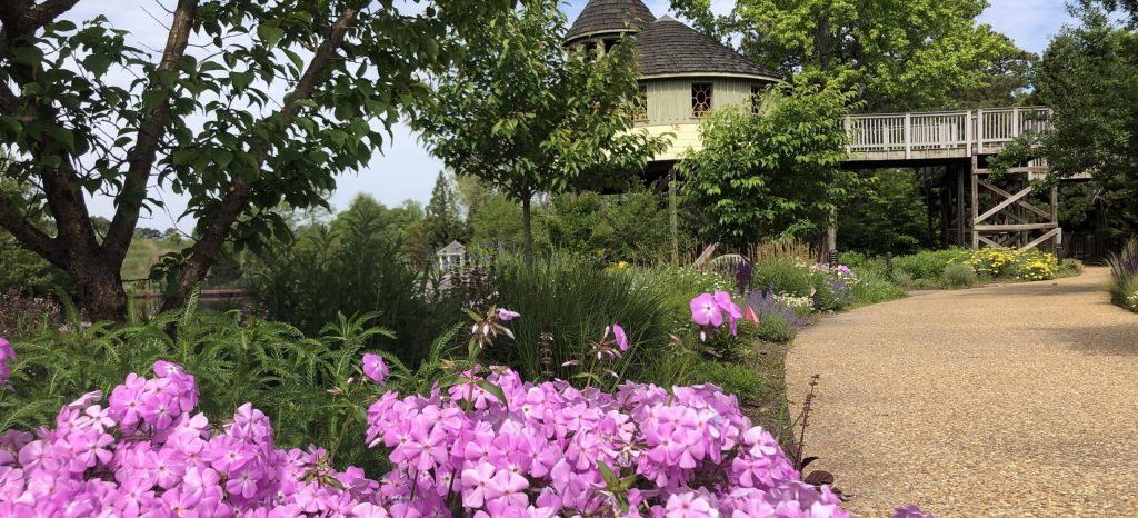 native plantings like smooth phlox, in pink, can help the ecosystem