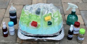 watershed model supplies