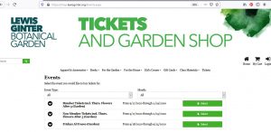 Screenshot of ticket page