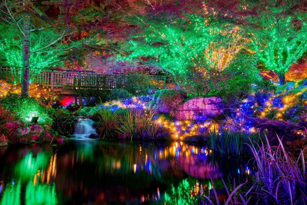 Colorful lights at Dominion Energy GardenFest of Lights. Image by James Loving
