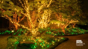 GardenFest Zoom Background. Image by Nicole Plummer
