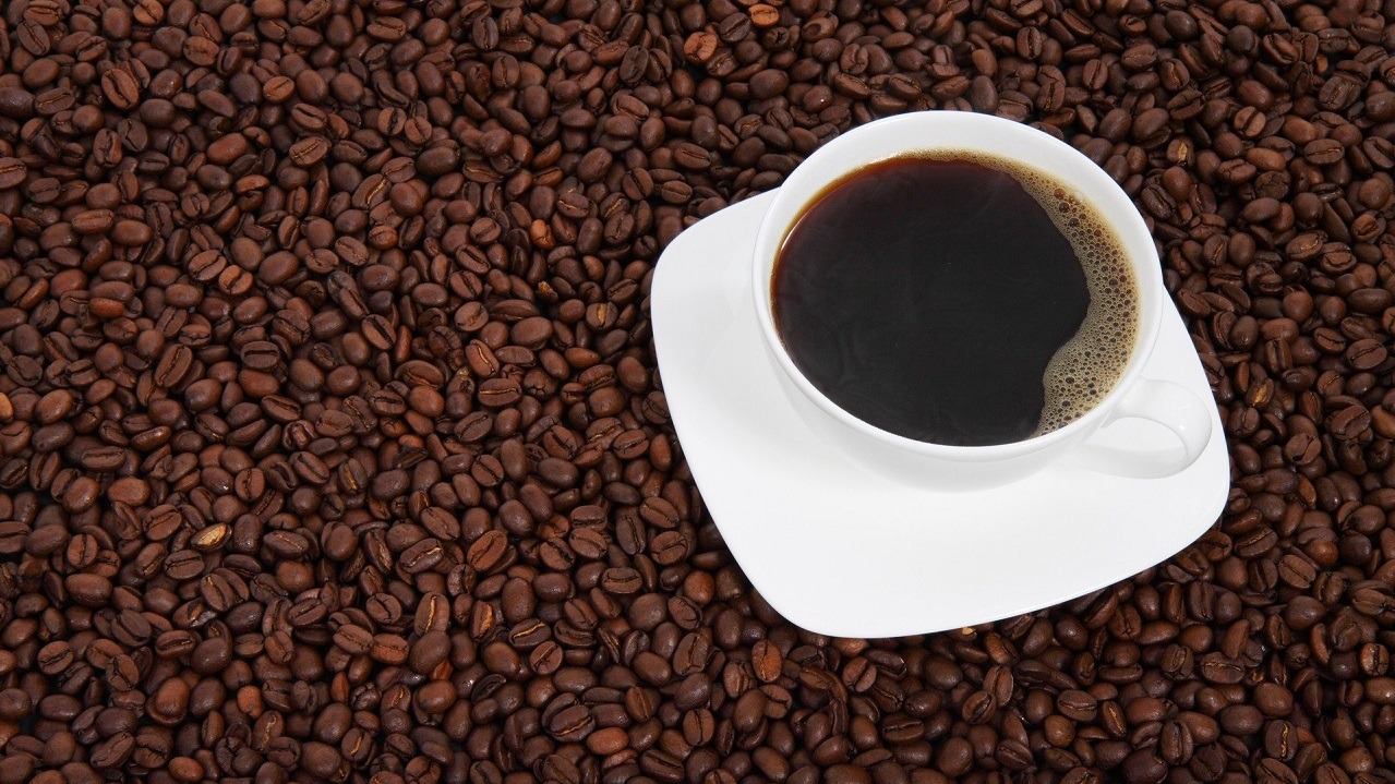 Coffee: The Story Behind Your Cup