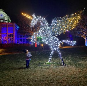 Girl looking with awe at unicorn Pegasus. Image by Devin Pilson