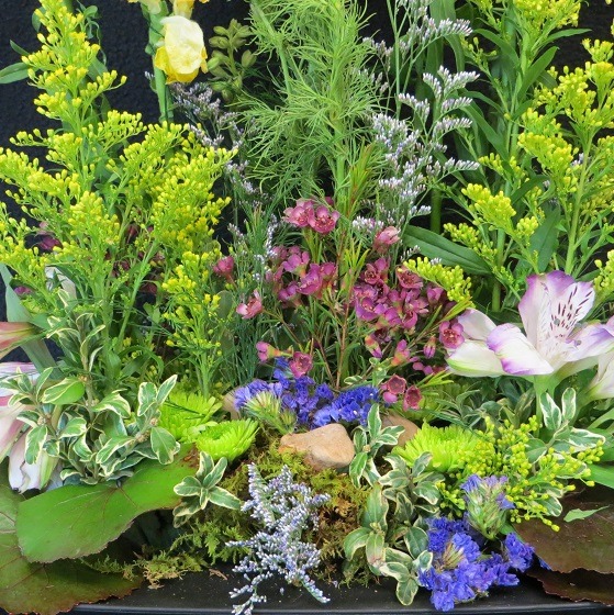 Little Landscapes class