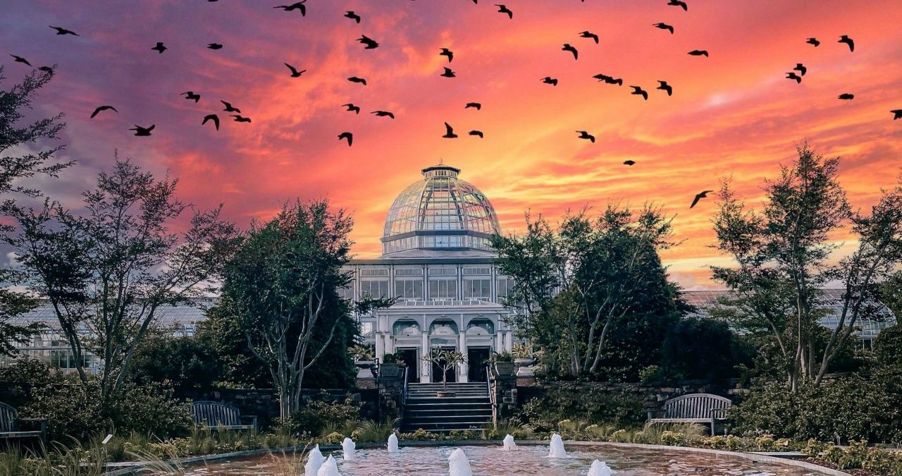 Sunset at Fridays Alfresco. Image by by J Veliz