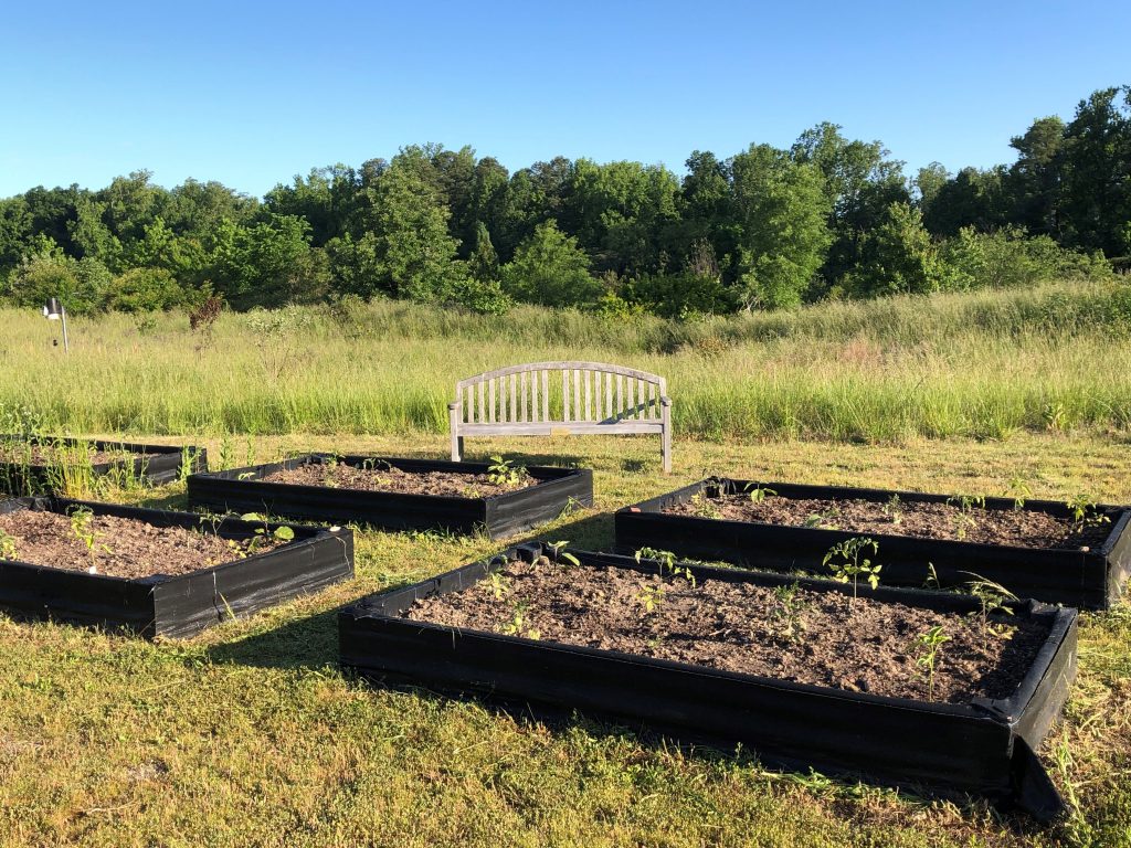 Afghan Women's raised beds in early spring