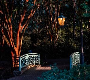 By Healing the Land, the Land Heals Us: A Discussion about Humans in the Landscape