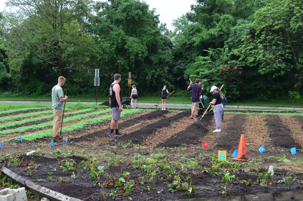 Sustainable Agriculture Gardener working