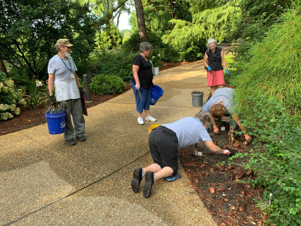 Volunteers weeding 