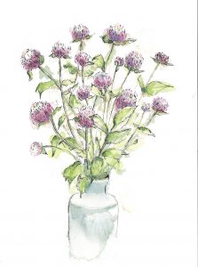 purple clover-like flowers in watercolor by Liz Hambrick