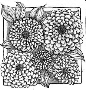 Chrysanthamums in black and white Zentangle Healing art. Art by Liz Hambrick