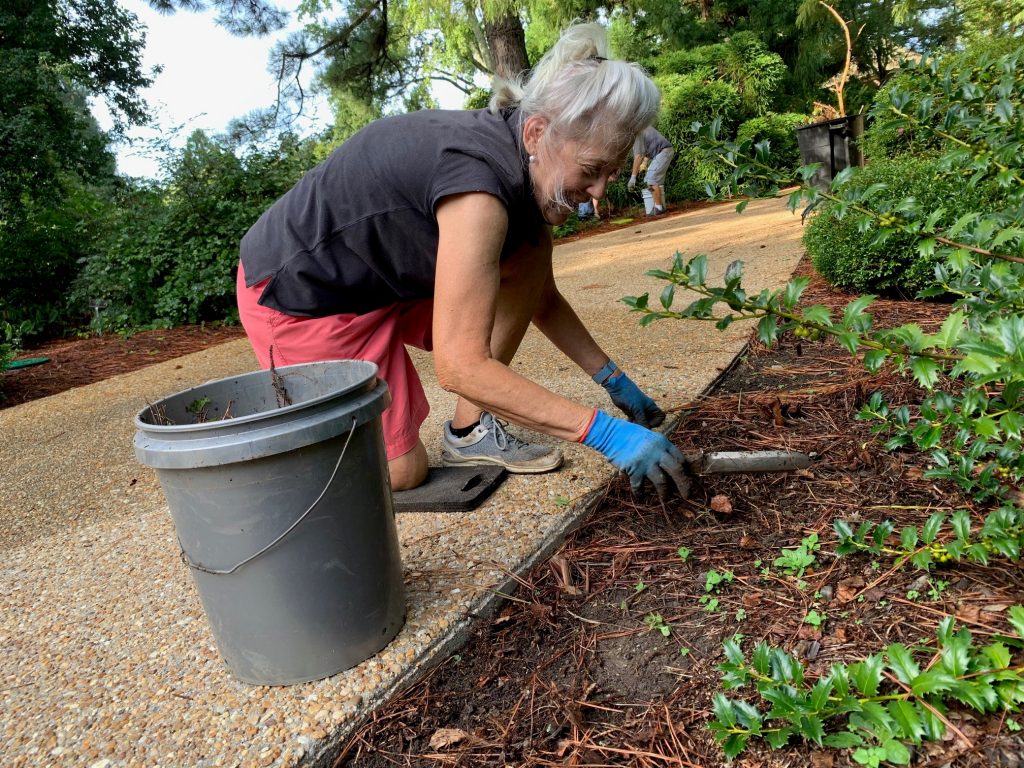 woman weeding with shovel