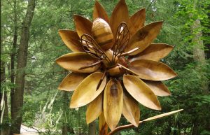 Pollinator Power -- Big Bugs by Dave Rogers. Image by Lisa Mattei