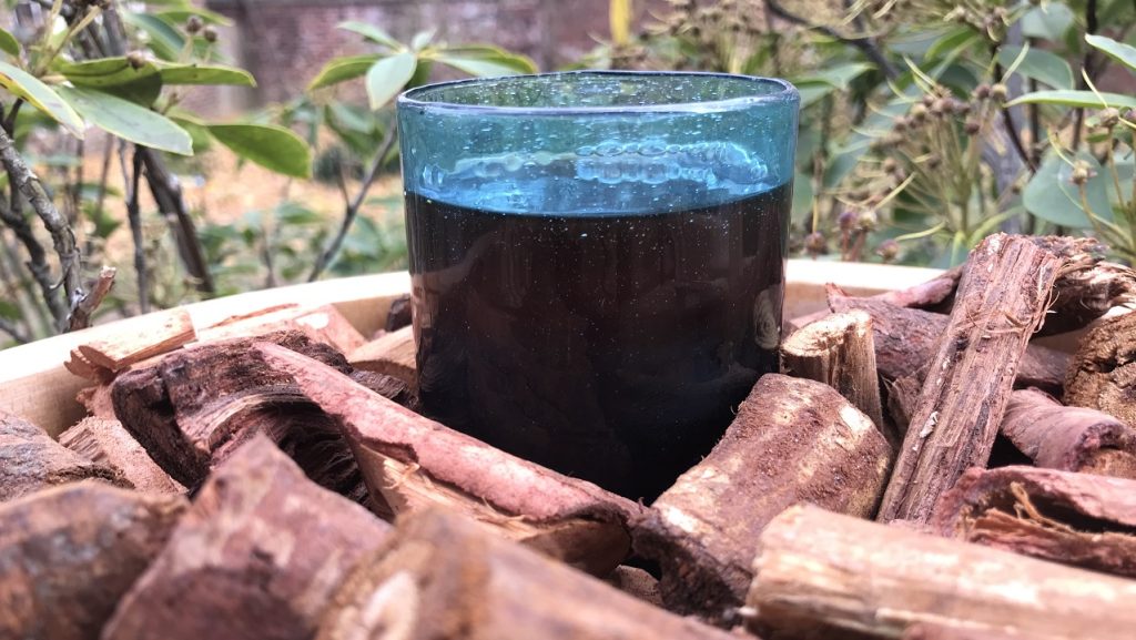 History of Soft Drinks Banner 169 Lewis Ginter Botanical Garden