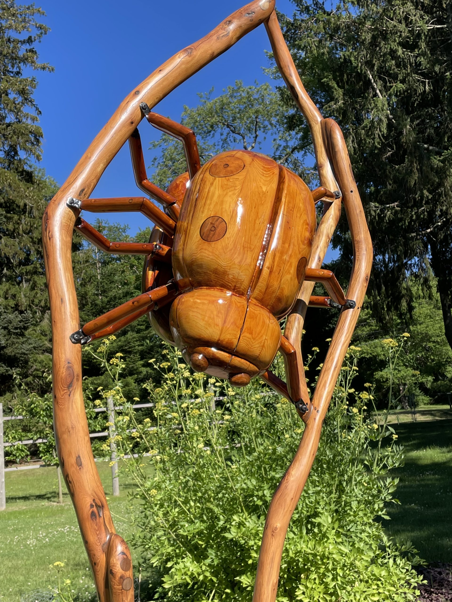 Pollinator Power -- Big Bugs by Dave Rogers. Image by Lisa Mattei