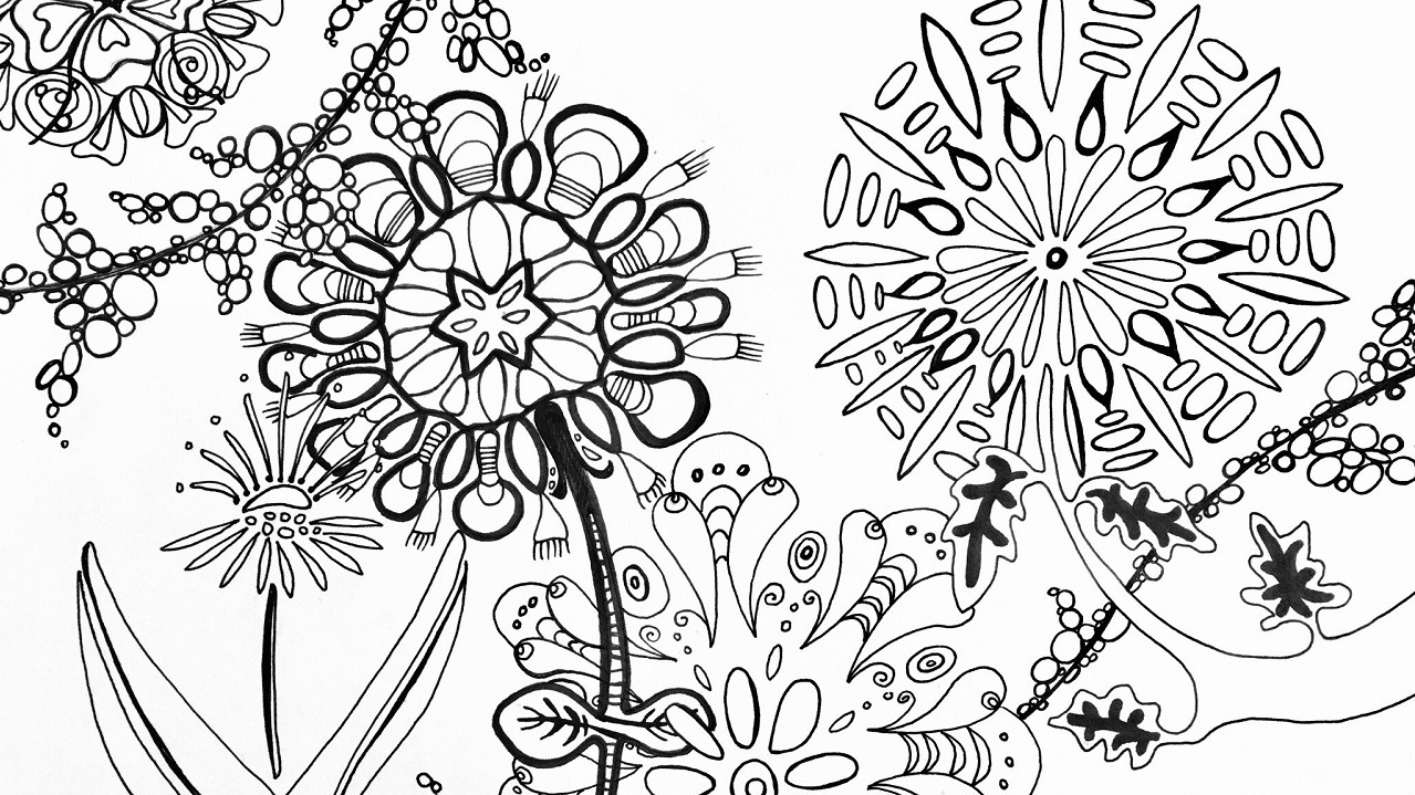 Meditative Botanical Drawing Workshop