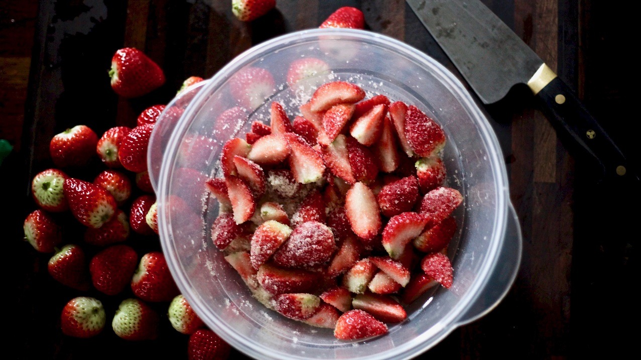 Beth Dixon Spring Shrubs