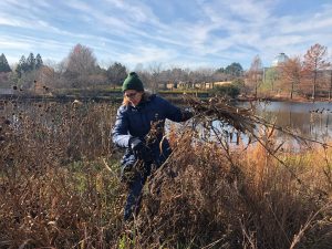 Senior Horticulturist Elizabeth Fogel near Sydnor Lake