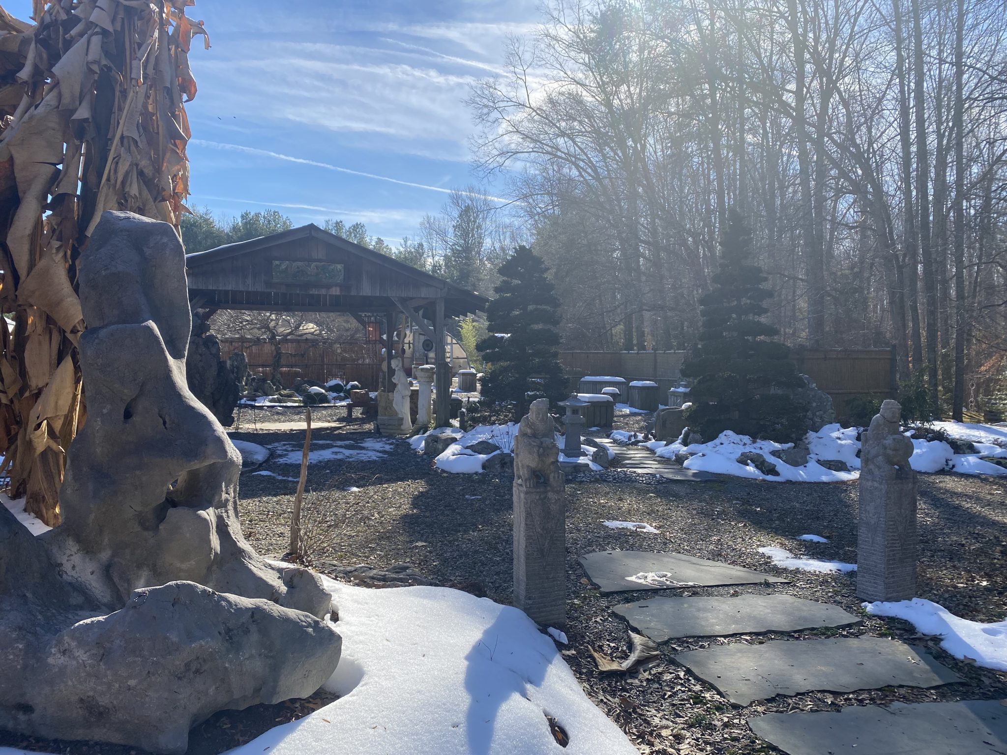 Bonsai Tree and Exhibit Lewis Ginter Botanical Garden