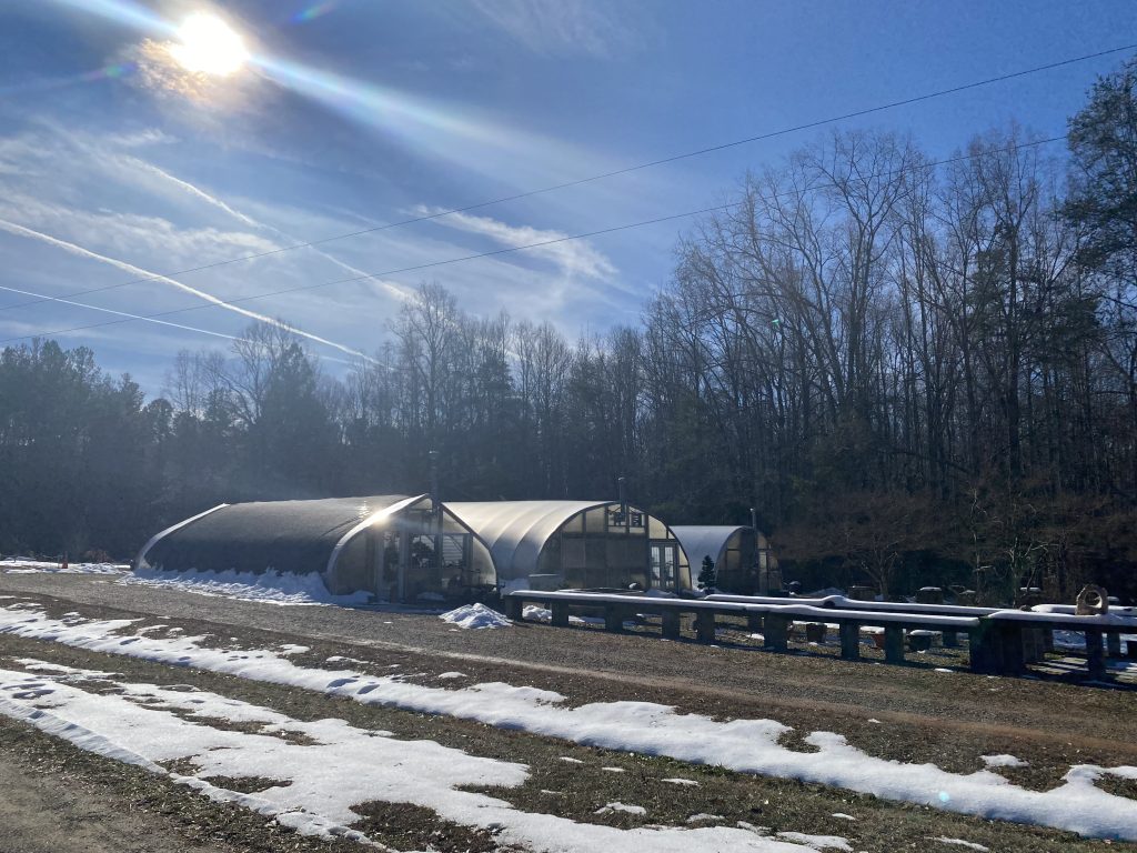 Bonsai Tree and Exhibit Lewis Ginter Botanical Garden