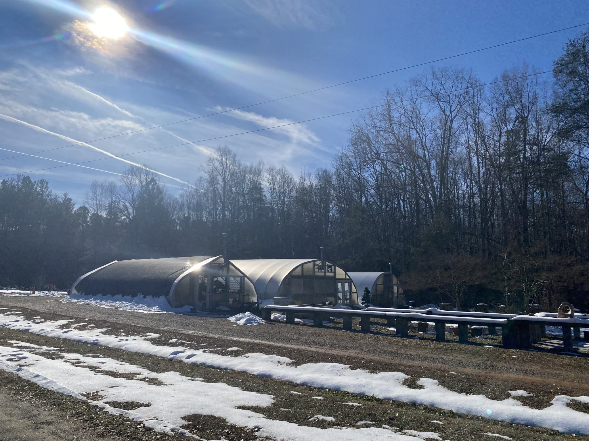 Bonsai Tree and Exhibit Lewis Ginter Botanical Garden