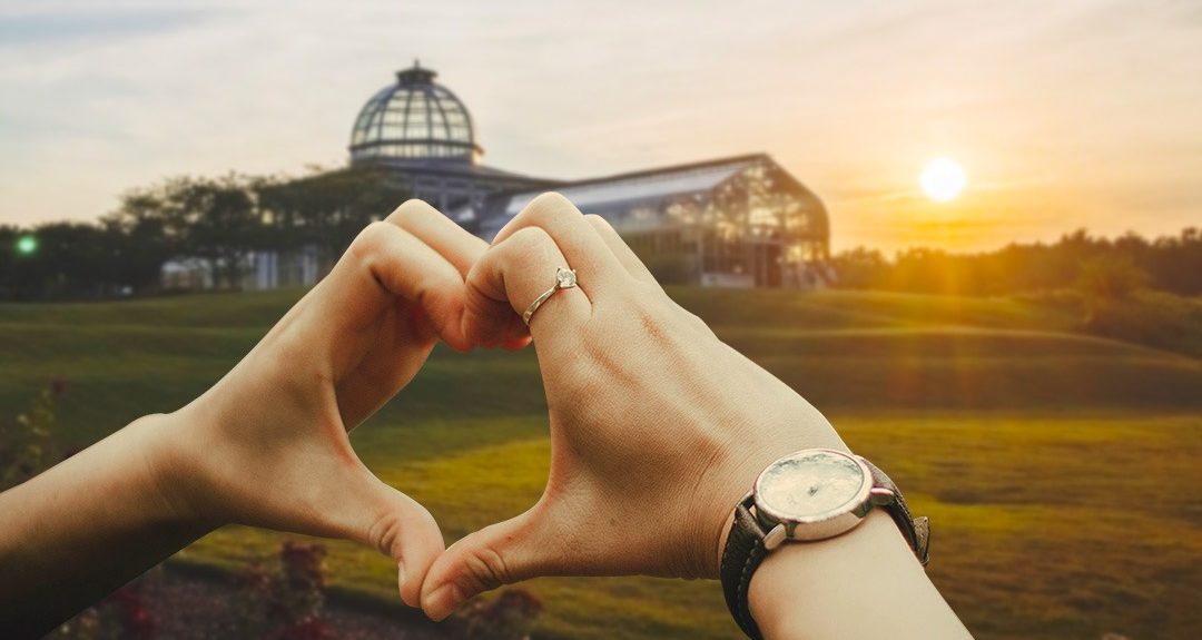heart shaped hands expressing gratitude outside conservatory in front of sunset