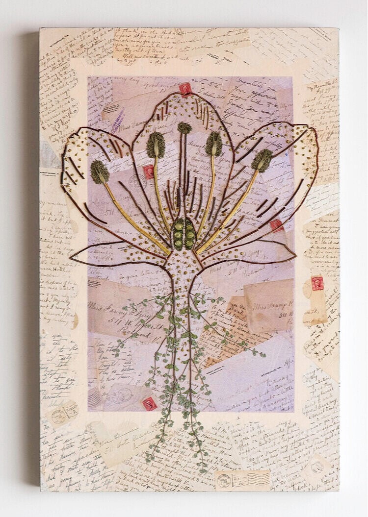 Love Letters art by Amanda McCauley