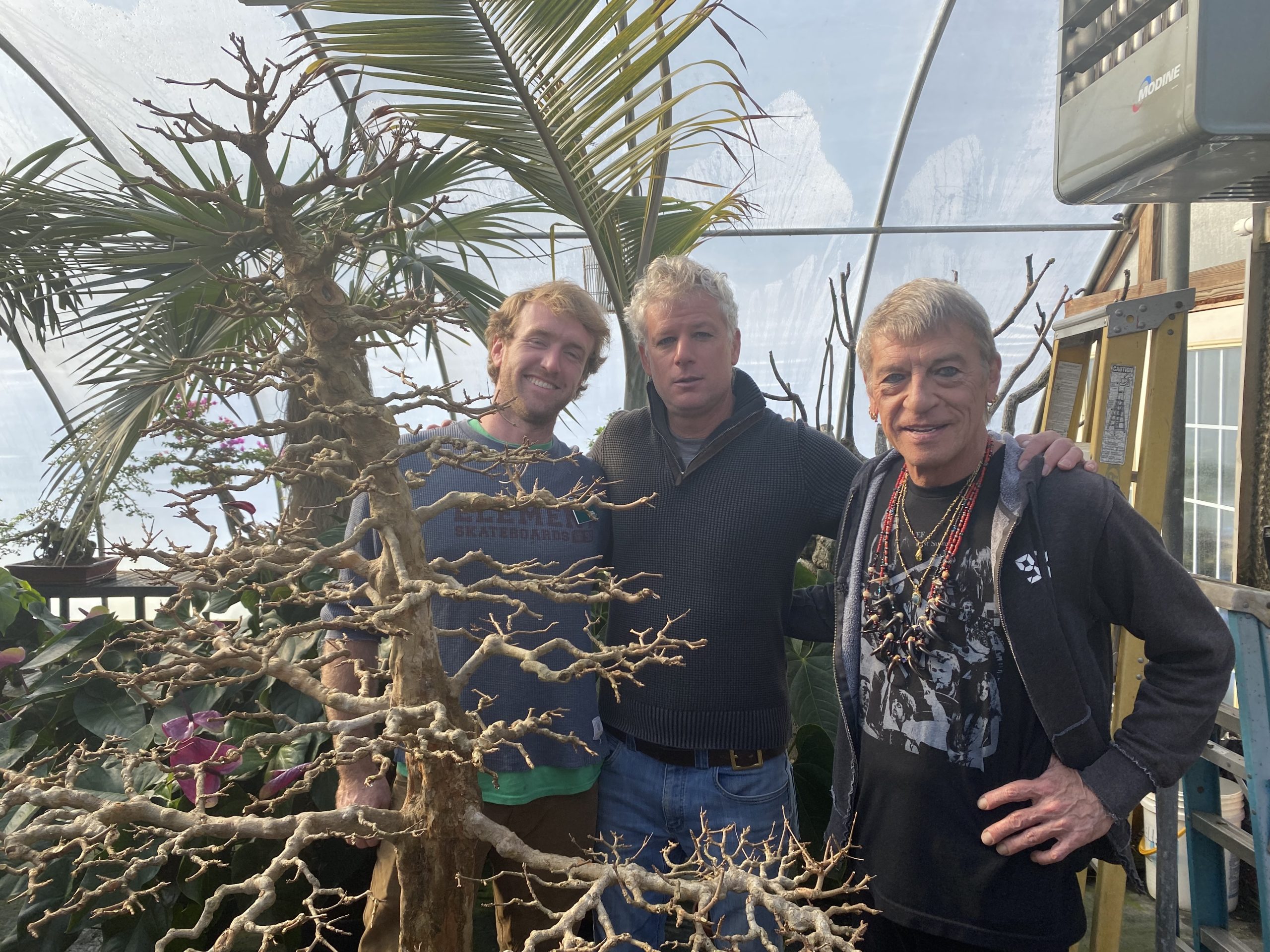 Ryan, Todd, and Bob with a very tall bonsai tree