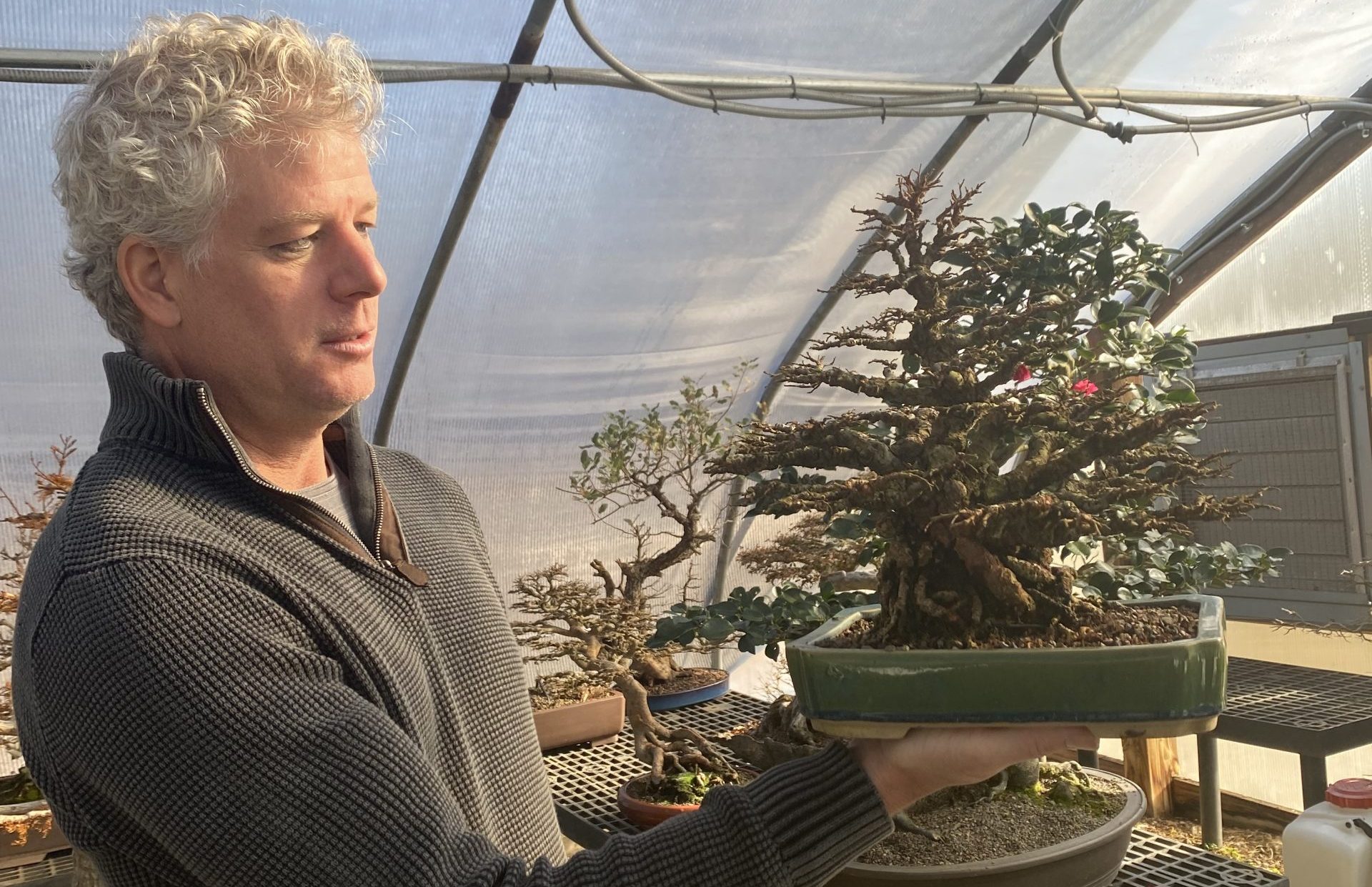 Todd Stewart with Bonsai tree