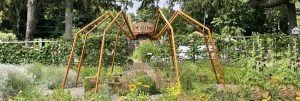 Dave Rogers' Big Bugs