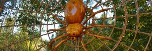 Dave Rogers' Big Bugs