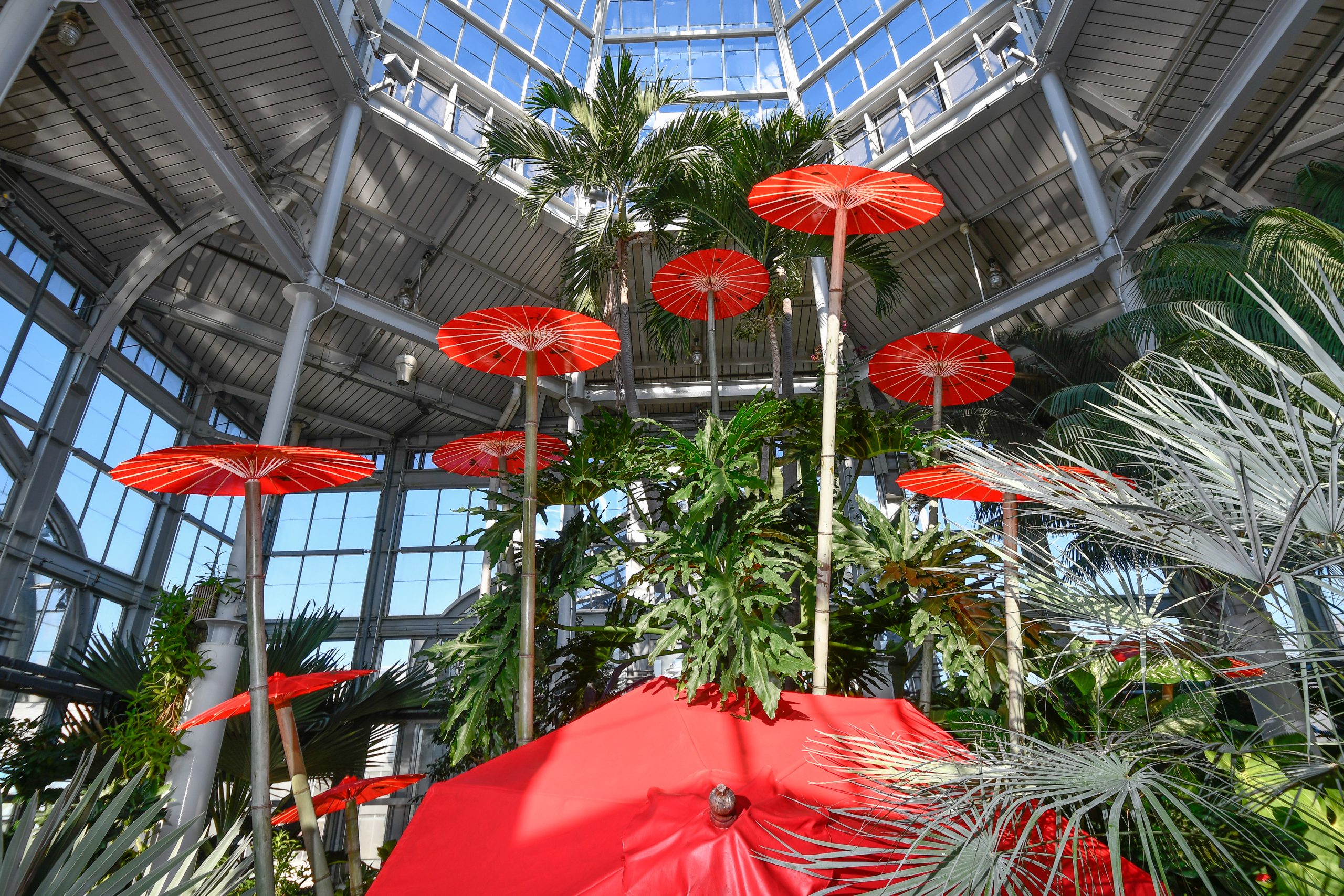 Bonsai Exhibit Lewis Ginter Botanical Garden