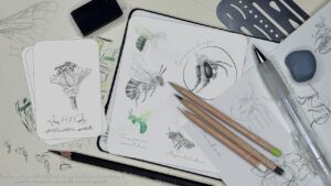 Drawing Bumble Bees on Paper