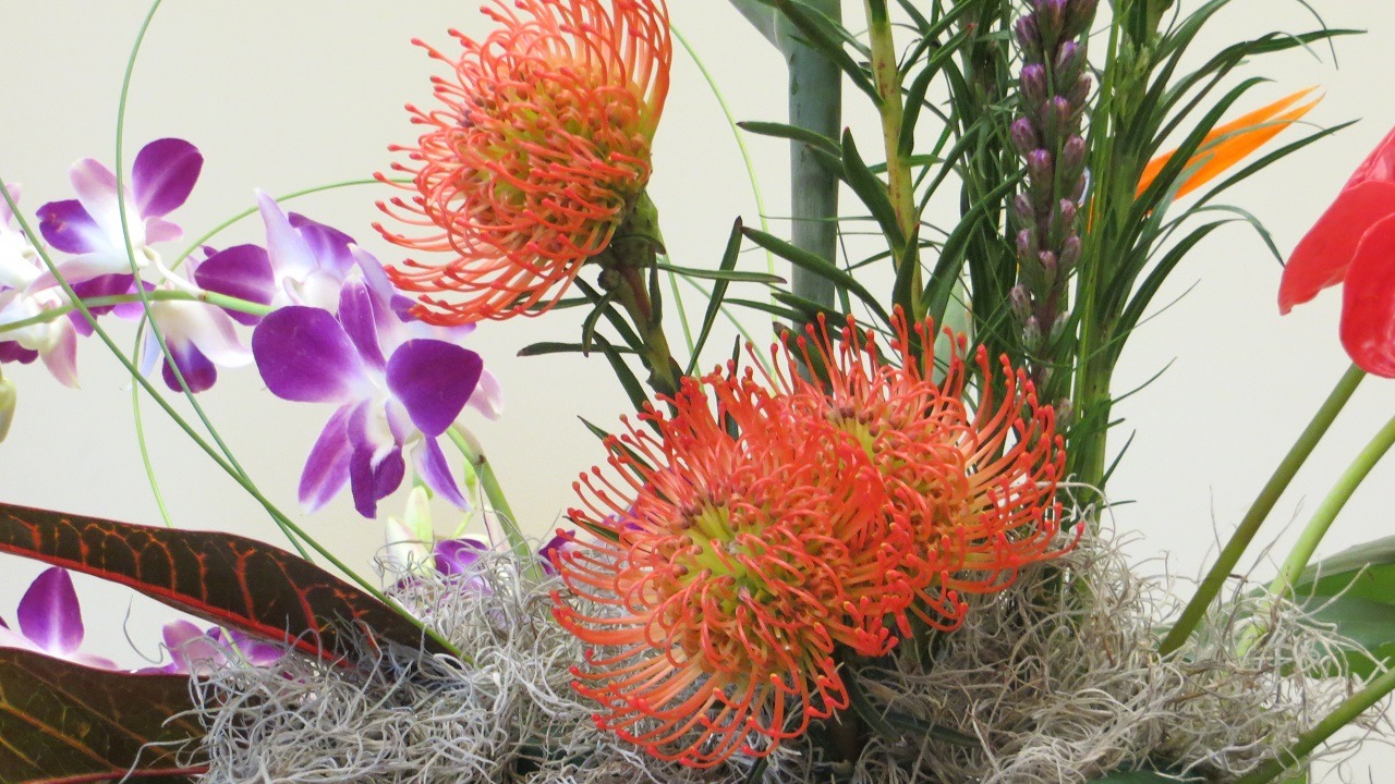 Face the Heat Working with Tropicals