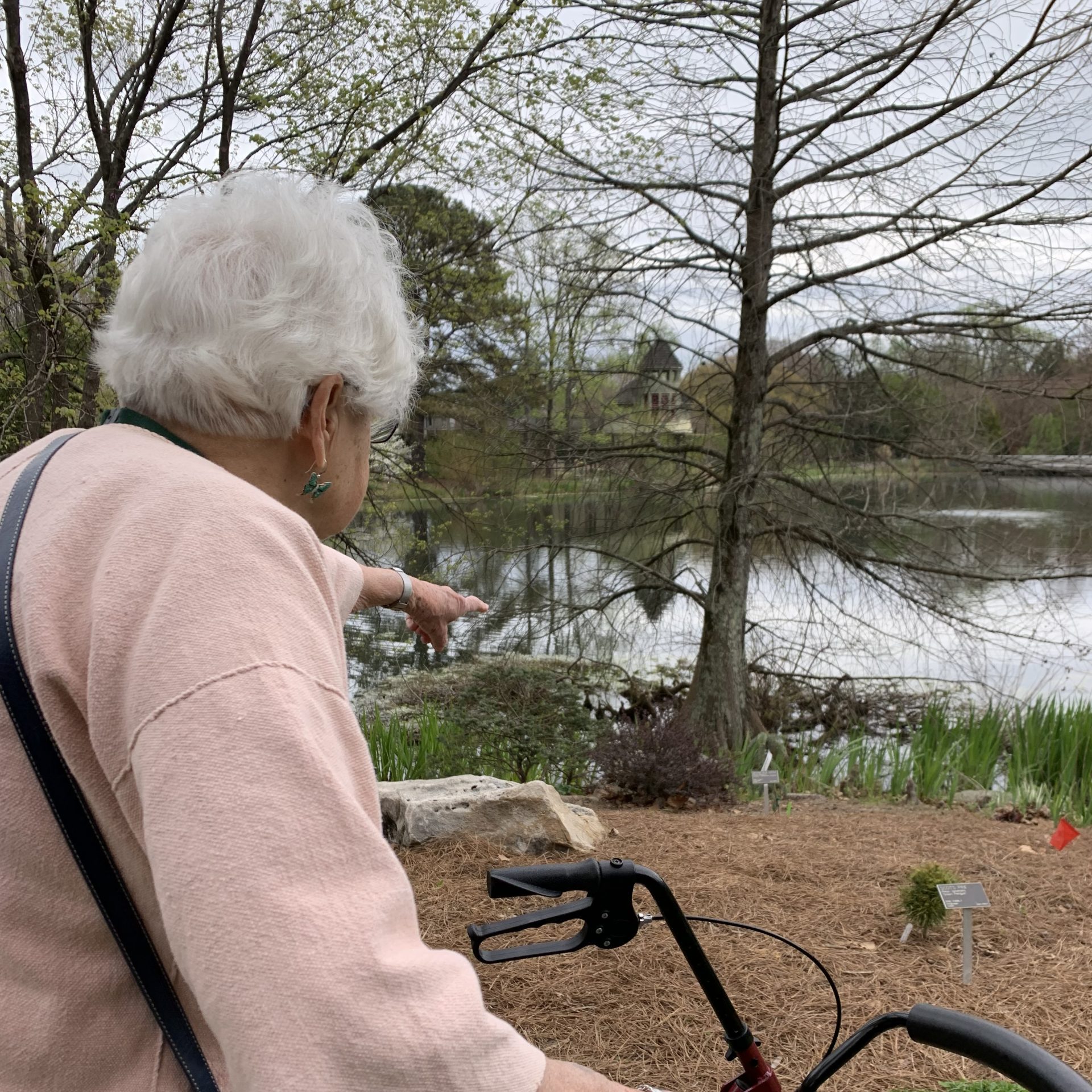 Volunteer Mariette Norbom pointing out flowers