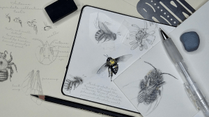 Drawing Bumblebees