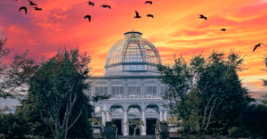 sunset behind the conservatory