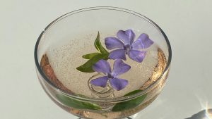 Garden to Glass: Pollinator Power Cocktails