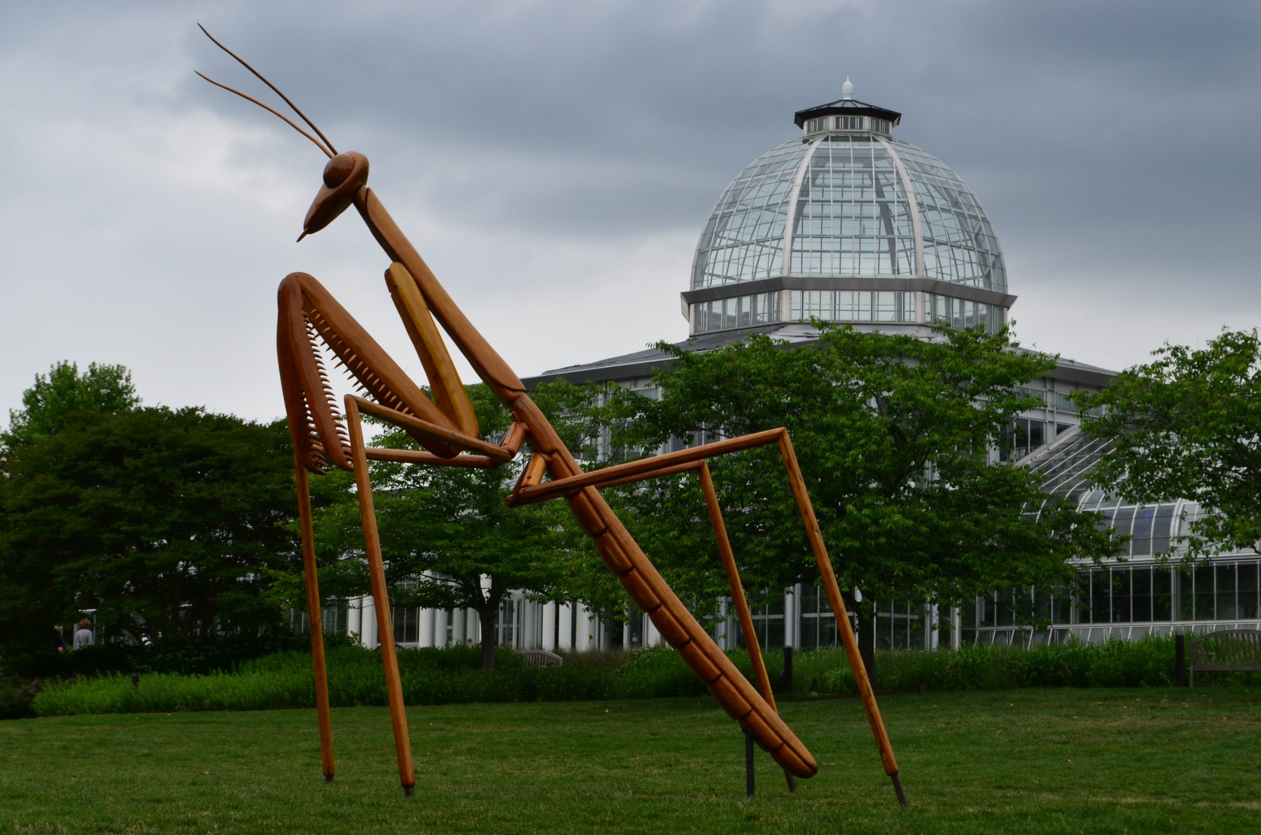 Big Bugs Mantis in front of the Conservatory. Image by Jonah Holland