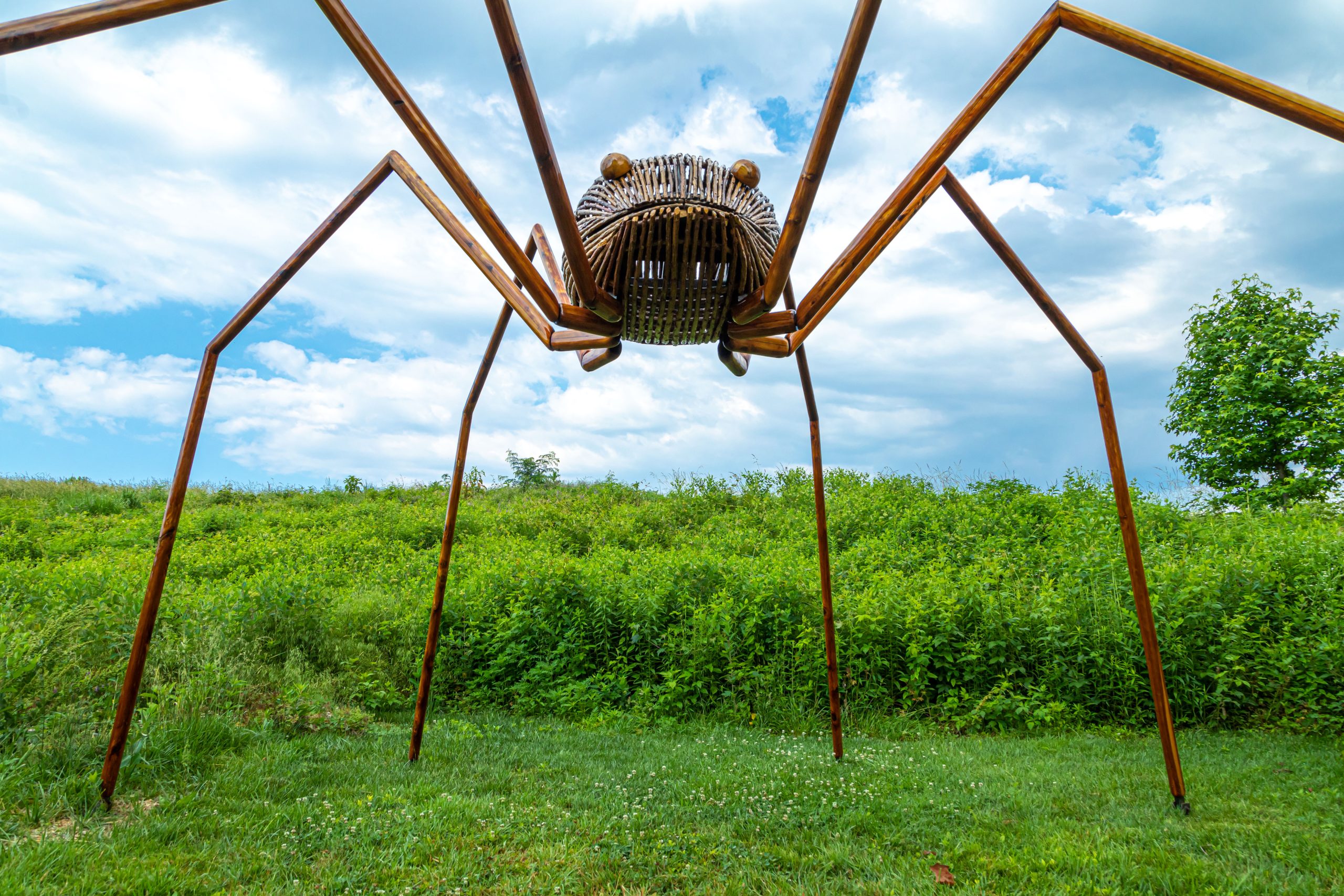 Daddy Long Legs Sculpture by David Rogers - Image by Tom Hennessy