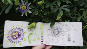 Nature Journaling with Watercolor 01: Exploring Color in the Natural World 