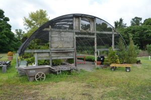 Hoop House building with plants