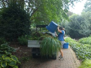 Eloisa Michelle filling the garden cart