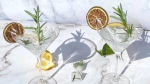 Botanical Cocktails with Aromatized Wines