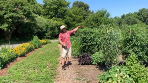 Beginning Organic Vegetable Gardening