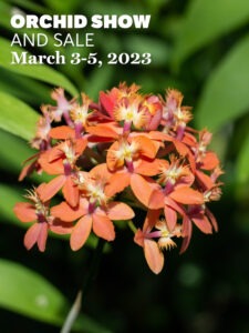 Orchid Show & Sale Poster Image
