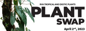 Plant Swap Graphic Slider Header